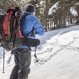 Ruta amb raquetes de neu per la Tossa d'Alp des de Coll de Pal