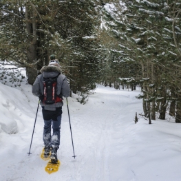 Ruta circular con raquetas de nieve por el Pedró dels Quatre&#8230;