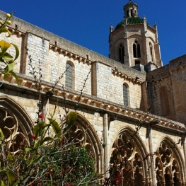 Cistercian Route II: Culture, fauna and flora around Santes&#8230;