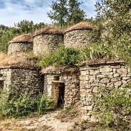 Tubs among vineyards in the Pont de Vilomara i Rocafort