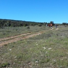 Tombe à travers la Sierra de Ancosa à La Llacuna